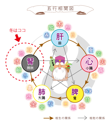 季節の漢方★冬の過ごしかた★埼玉中医薬研究会