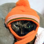 冬のリスクは閉じこもり